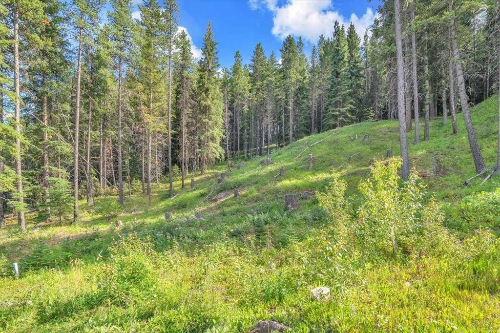 262 Southmore Place, Blairmore, AB