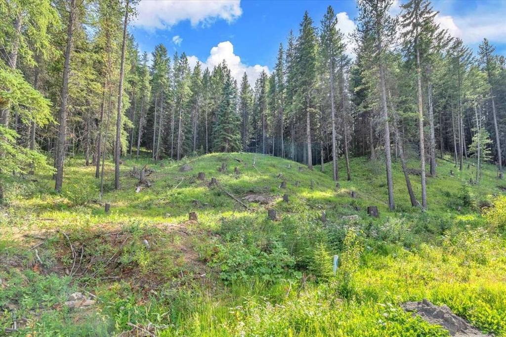 262 Southmore Place, Blairmore, AB