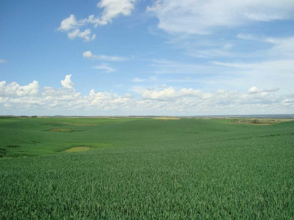 Sw,26,35,22,W$M Hi Way 590 Highway, Elnora, AB