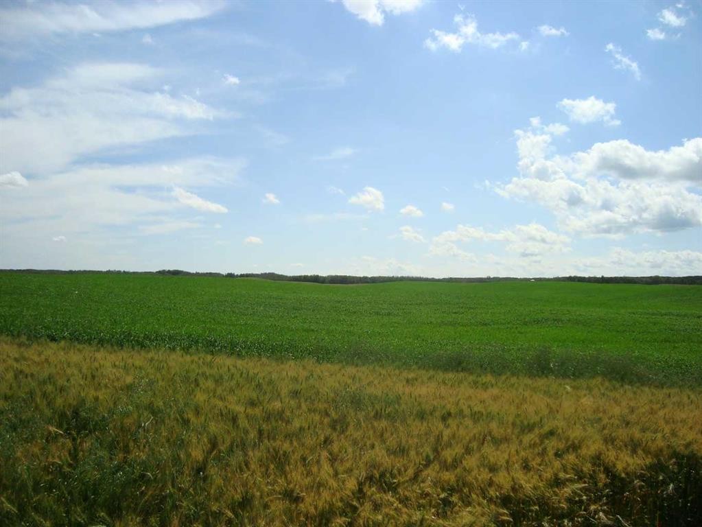 Sw,26,35,22,W$M Hi Way 590 Highway, Elnora, AB