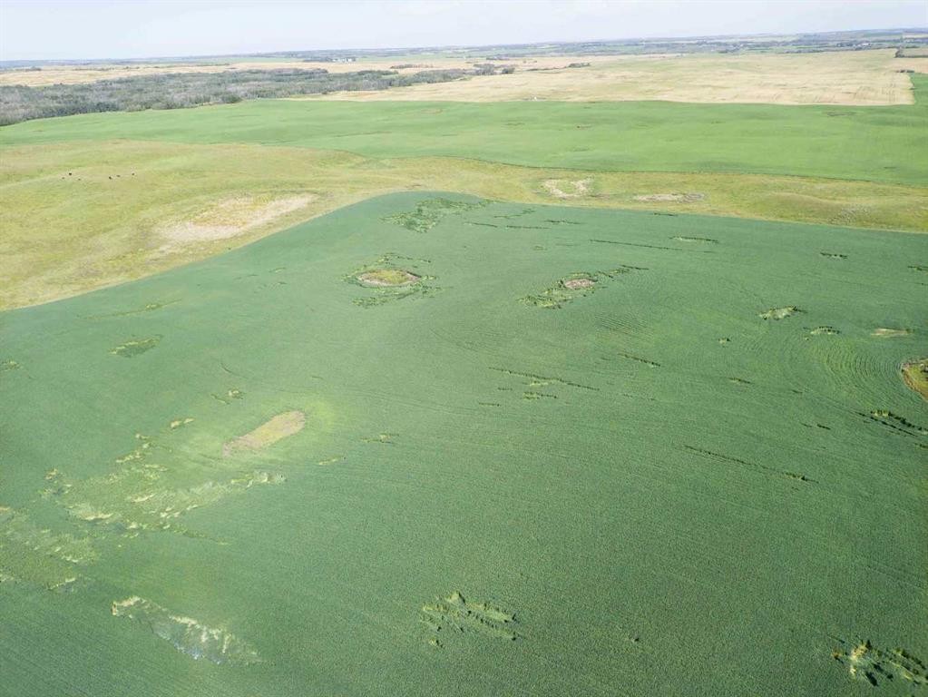 Sw,26,35,22,W$M Hi Way 590 Highway, Elnora, AB