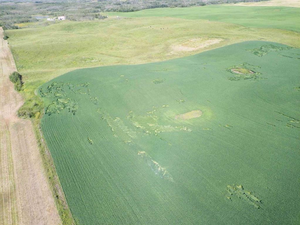 Sw,26,35,22,W$M Hi Way 590 Highway, Elnora, AB