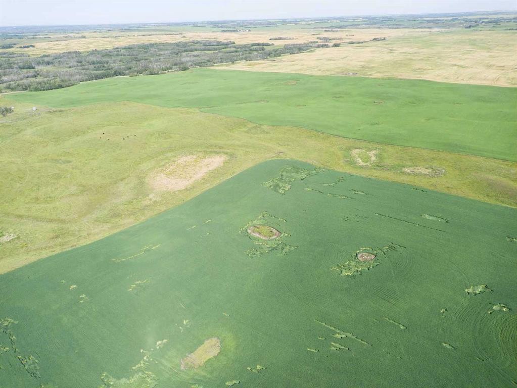 Sw,26,35,22,W$M Hi Way 590 Highway, Elnora, AB