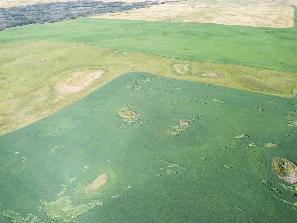 Sw,26,35,22,W$M Hi Way 590 Highway, Elnora, AB