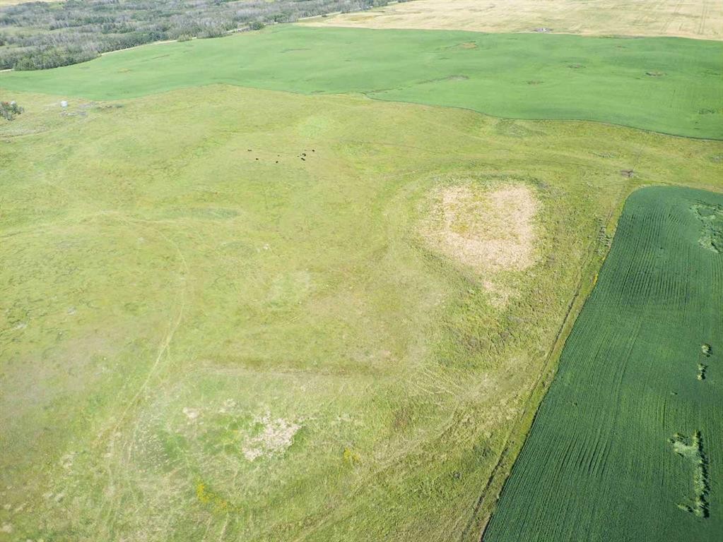 Sw,26,35,22,W$M Hi Way 590 Highway, Elnora, AB