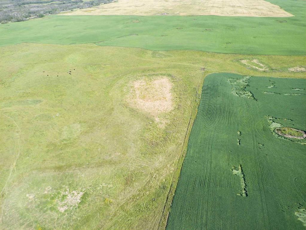 Sw,26,35,22,W$M Hi Way 590 Highway, Elnora, AB