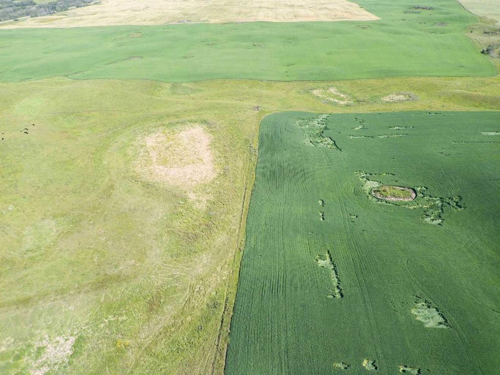 Sw,26,35,22,W$M Hi Way 590 Highway, Elnora, AB