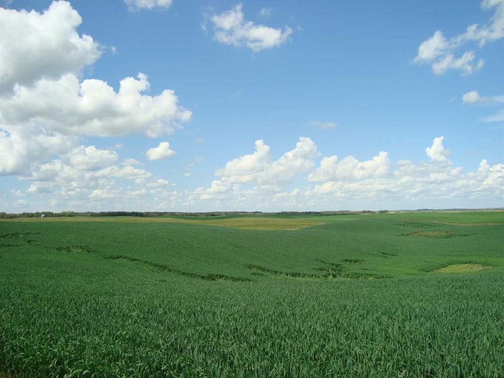 Sw,26,35,22,W$M Hi Way 590 Highway, Elnora, AB