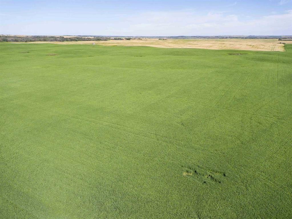 Sw,26,35,22,W$M Hi Way 590 Highway, Elnora, AB