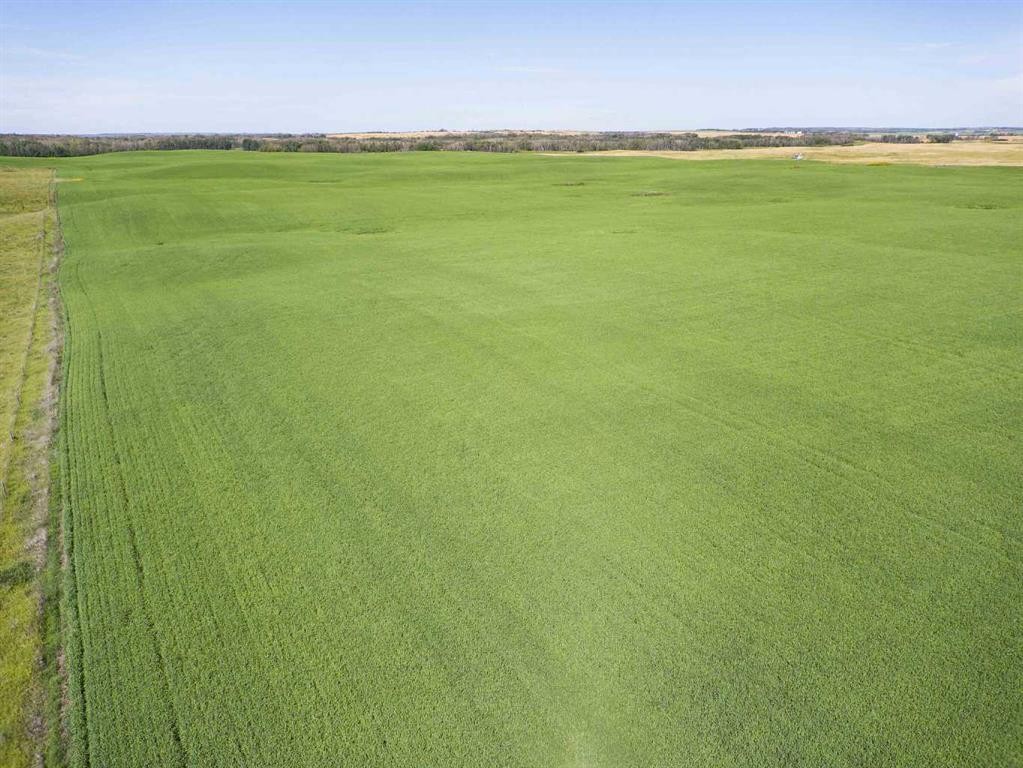 Sw,26,35,22,W$M Hi Way 590 Highway, Elnora, AB