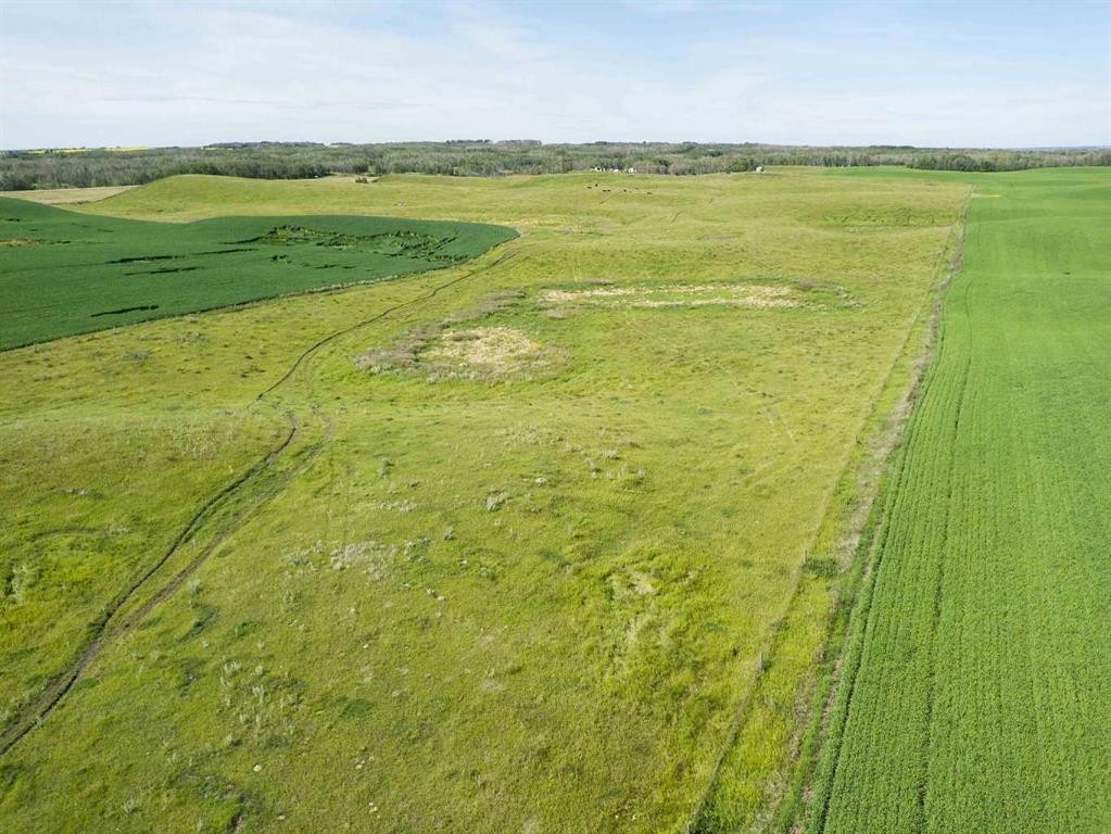 Sw,26,35,22,W$M Hi Way 590 Highway, Elnora, AB