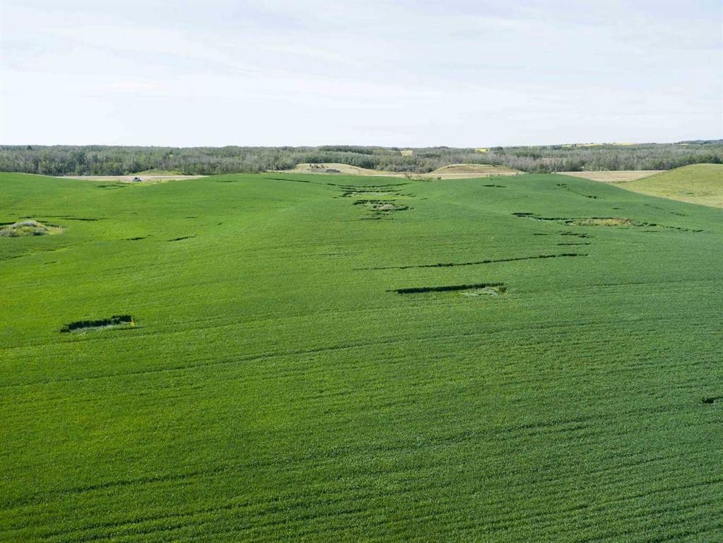 Sw,26,35,22,W$M Hi Way 590 Highway, Elnora, AB