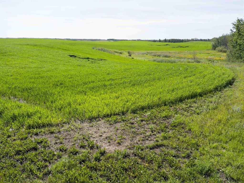 Sw,26,35,22,W$M Hi Way 590 Highway, Elnora, AB