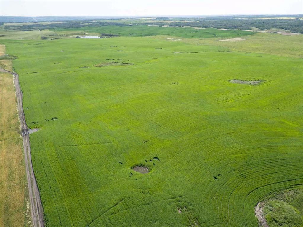 Sw,26,35,22,W$M Hi Way 590 Highway, Elnora, AB