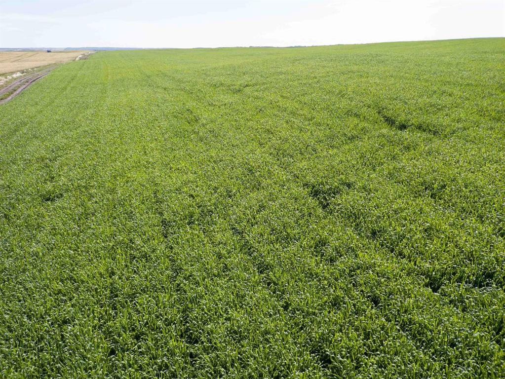 Sw,26,35,22,W$M Hi Way 590 Highway, Elnora, AB