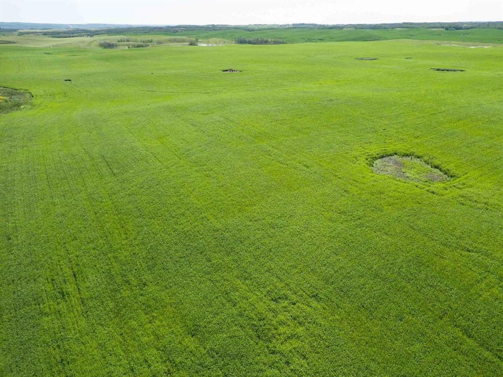 Sw,26,35,22,W$M Hi Way 590 Highway, Elnora, AB