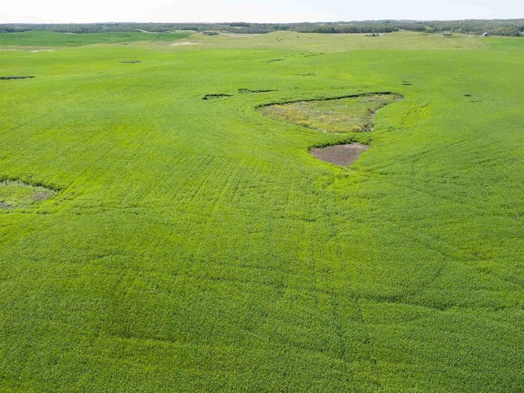 Sw,26,35,22,W$M Hi Way 590 Highway, Elnora, AB