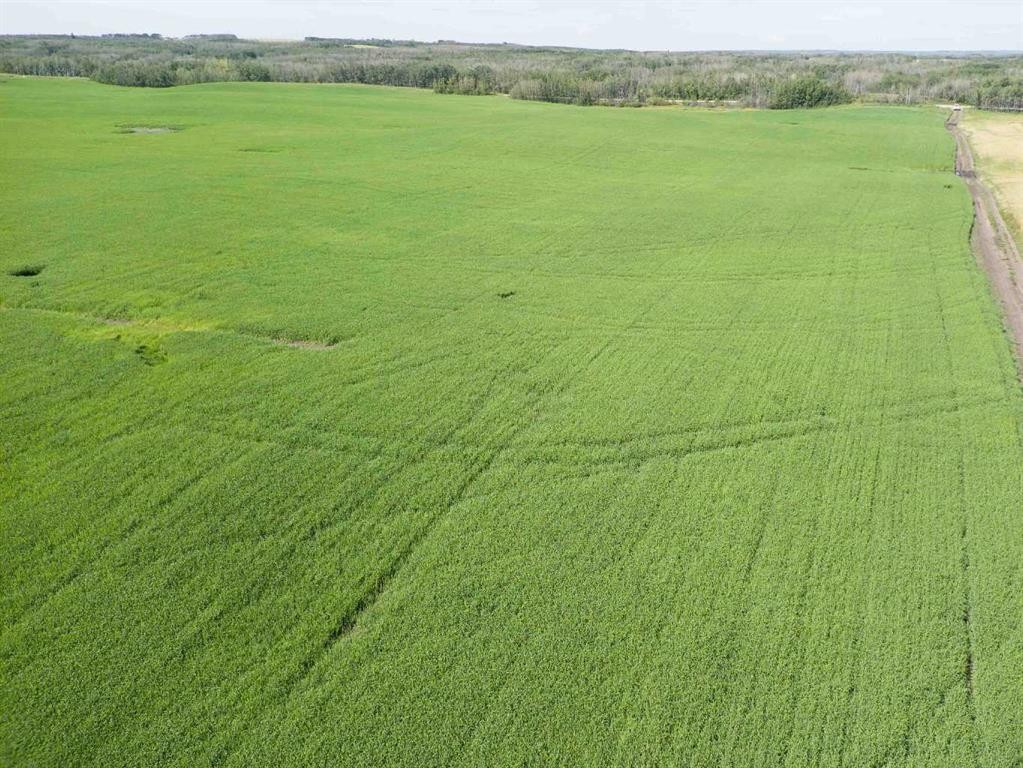 Sw,26,35,22,W$M Hi Way 590 Highway, Elnora, AB