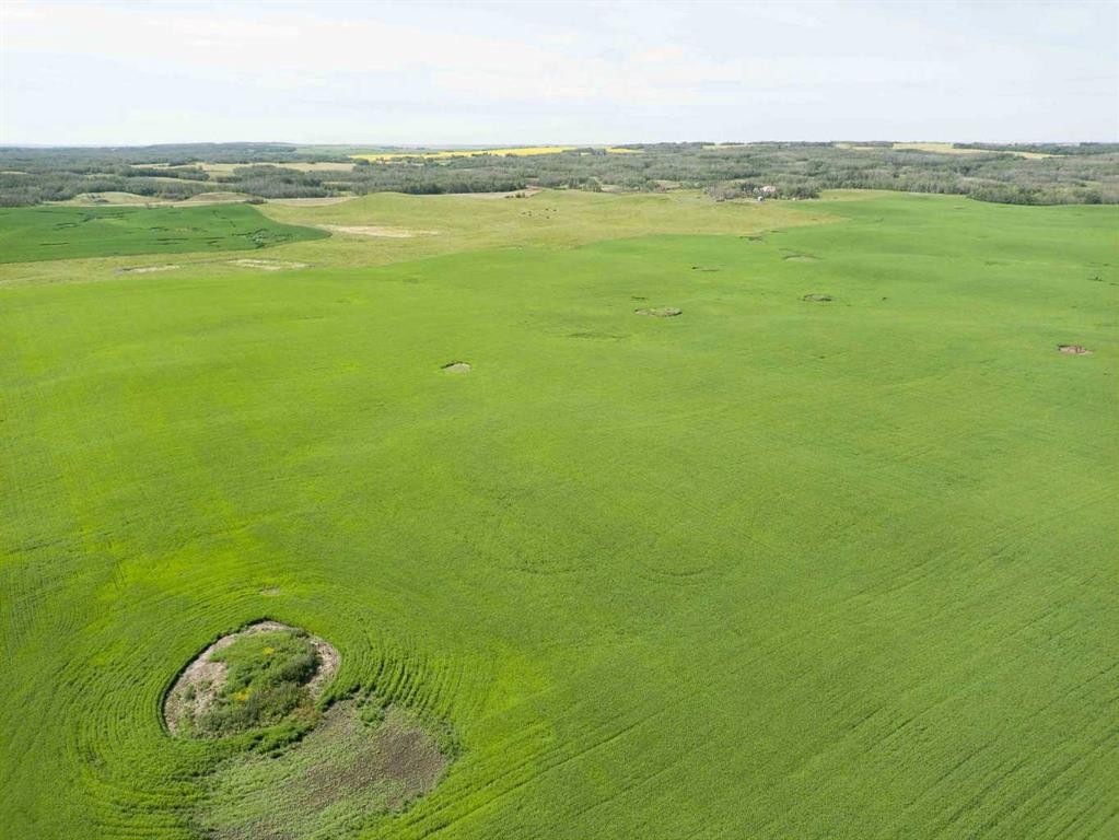 Sw,26,35,22,W$M Hi Way 590 Highway, Elnora, AB