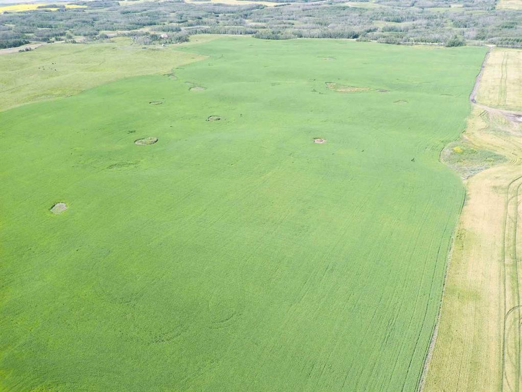 Sw,26,35,22,W$M Hi Way 590 Highway, Elnora, AB