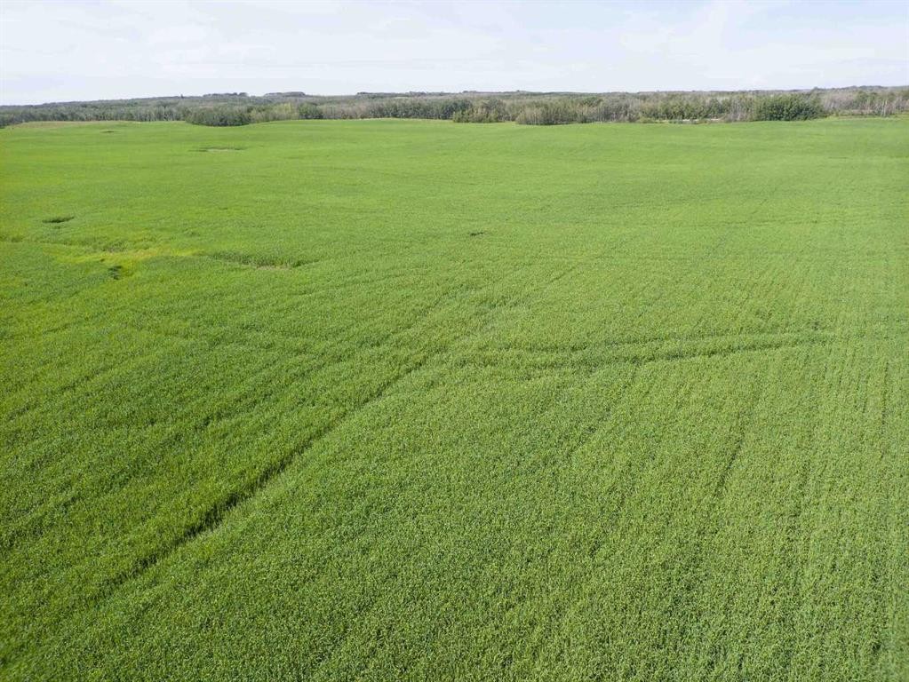 Sw,26,35,22,W$M Hi Way 590 Highway, Elnora, AB