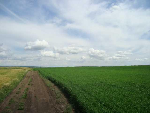 Sw,26,35,22,W$M Hi Way 590 Highway, Elnora, AB