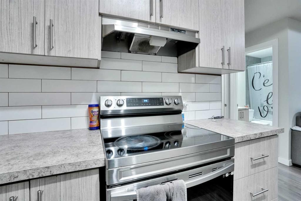 232 Cornerbrook Common Ne, Calgary, AB - Indoor Photo Showing Kitchen With Upgraded Kitchen