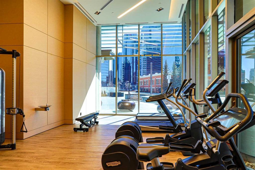 302-738 1 Avenue Sw, Calgary, AB - Indoor Photo Showing Gym Room