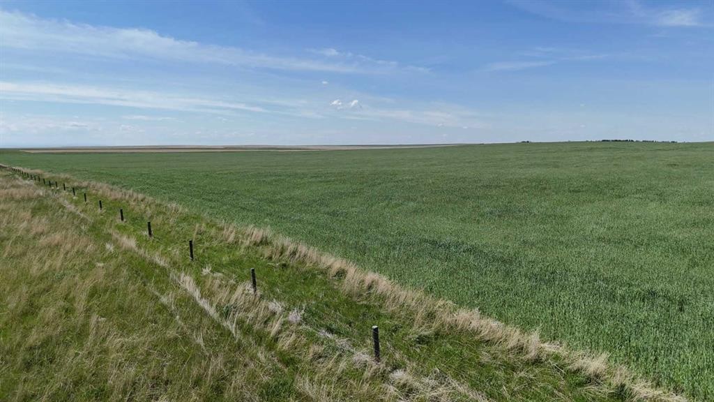 Range Road 243, Rural Vulcan County, AB