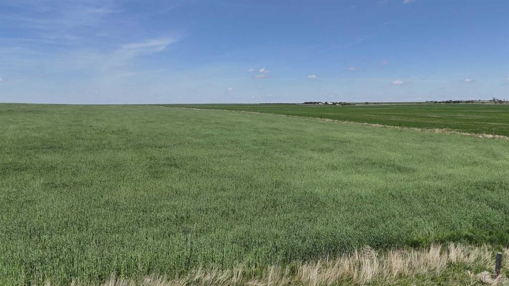 Range Road 243, Rural Vulcan County, AB