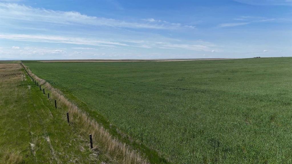 Range Road 243, Rural Vulcan County, AB