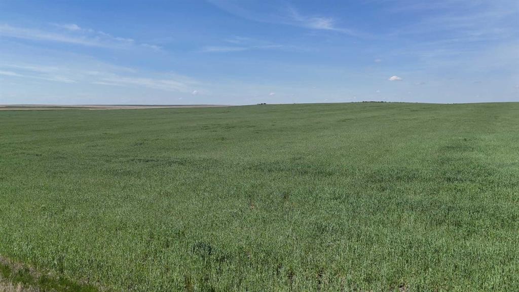 Range Road 243, Rural Vulcan County, AB