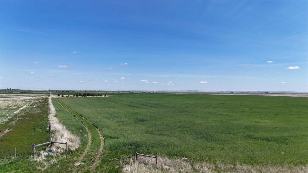 Range Road 243, Rural Vulcan County, AB