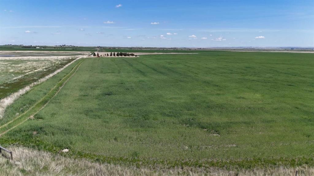 Range Road 243, Rural Vulcan County, AB