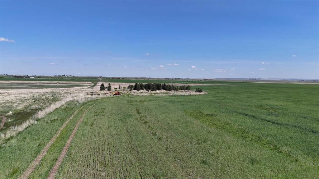 Range Road 243, Rural Vulcan County, AB