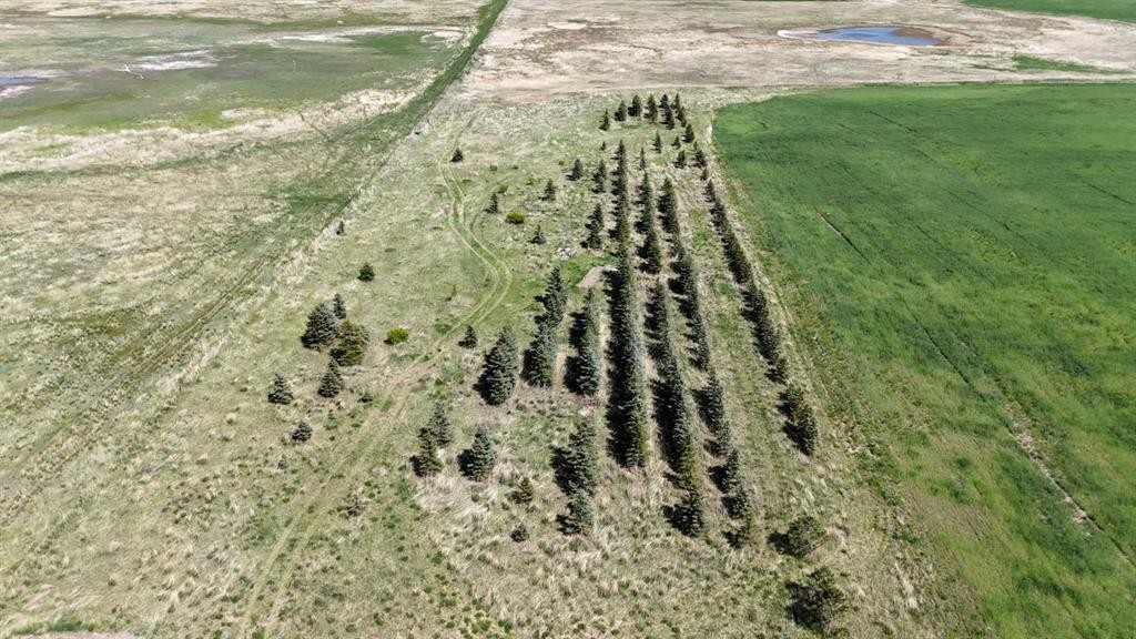 Range Road 243, Rural Vulcan County, AB