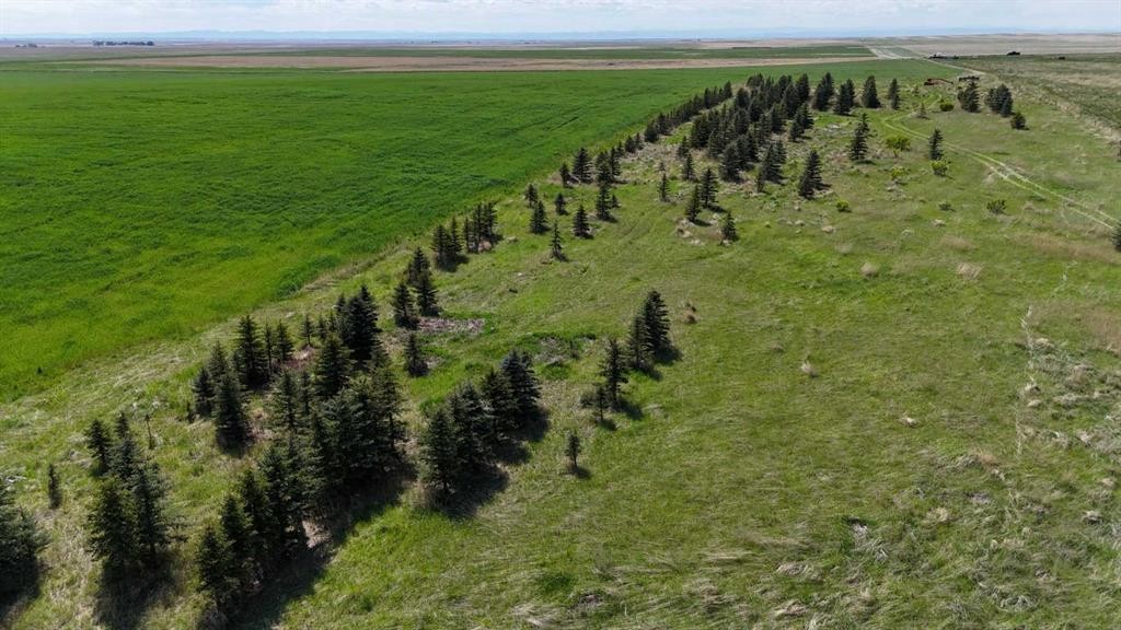 Range Road 243, Rural Vulcan County, AB