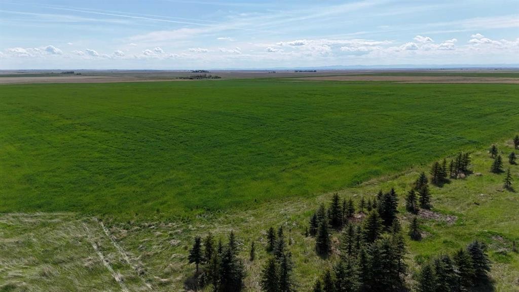 Range Road 243, Rural Vulcan County, AB