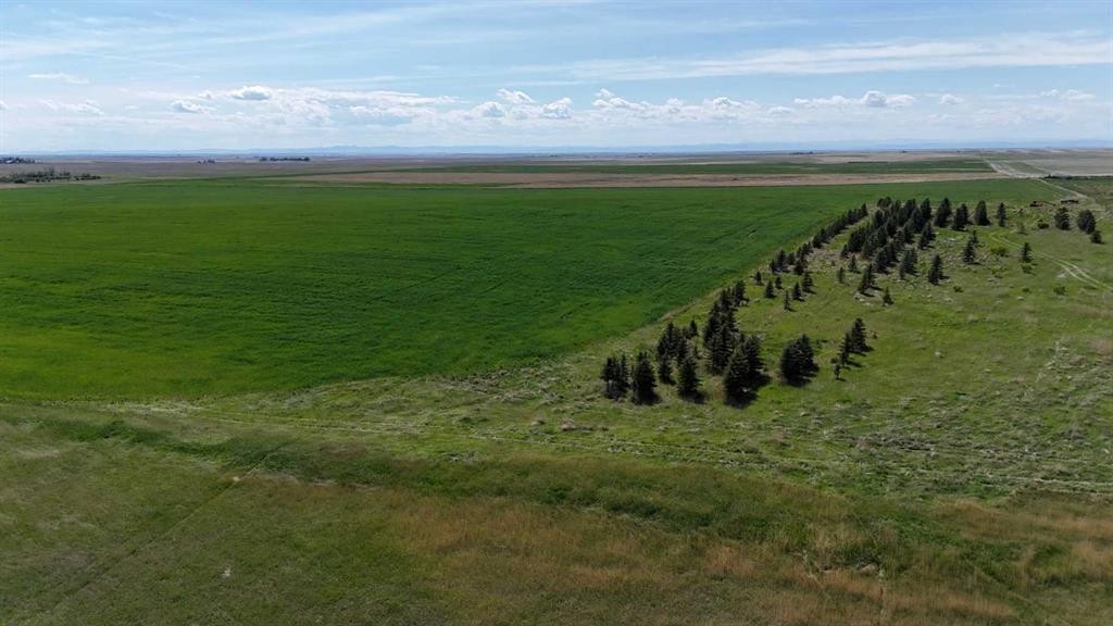 Range Road 243, Rural Vulcan County, AB