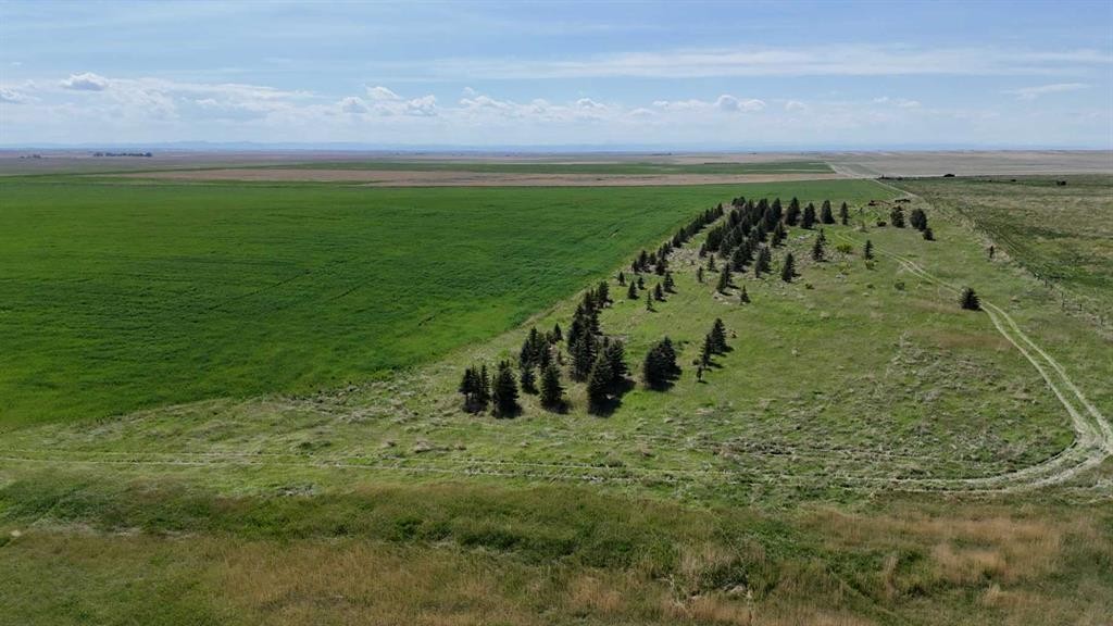 Range Road 243, Rural Vulcan County, AB