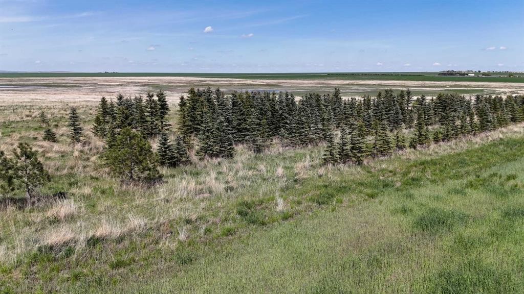 Range Road 243, Rural Vulcan County, AB