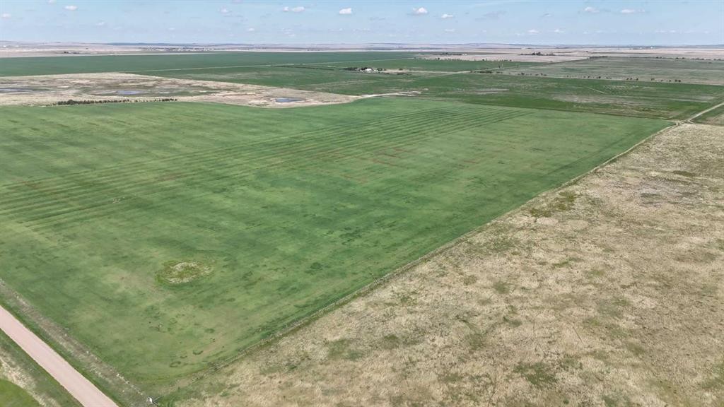 Range Road 243, Rural Vulcan County, AB