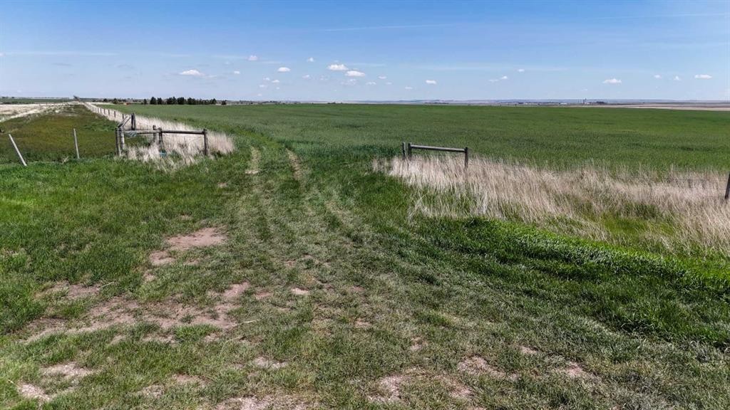 Range Road 243, Rural Vulcan County, AB