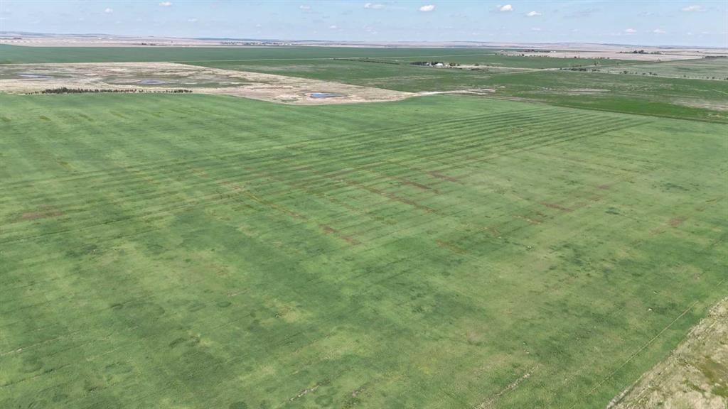 Range Road 243, Rural Vulcan County, AB