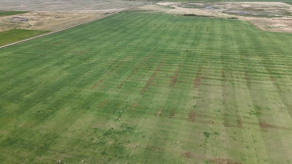 Range Road 243, Rural Vulcan County, AB