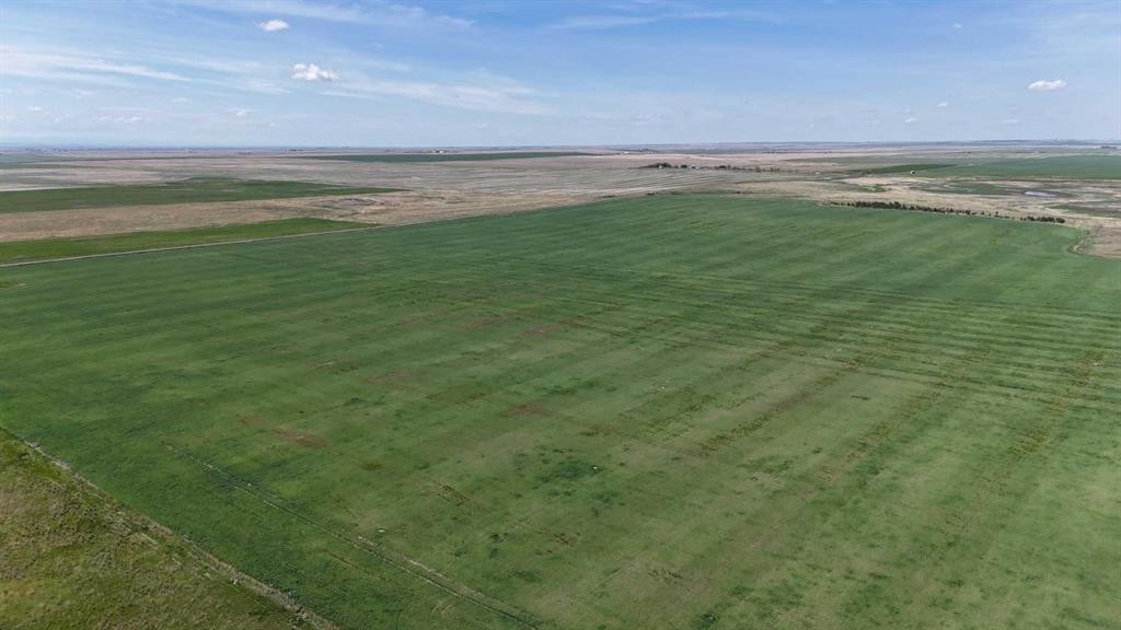 Range Road 243, Rural Vulcan County, AB