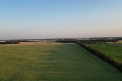 Range Road 224 Township 610 Rural Thorhild County, AB T0A 3J0