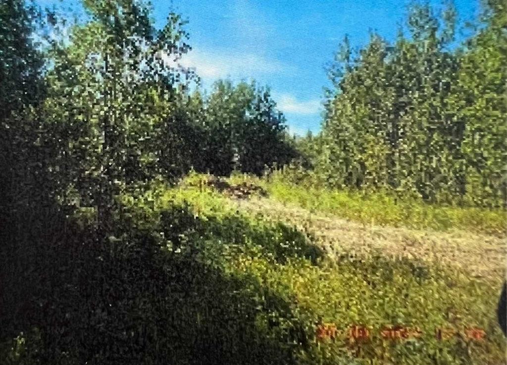 W:5 R:7 T:57 S:1 Q:Se, Sangudo, AB