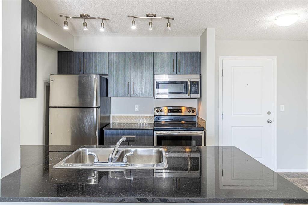 316-5 Saddlestone Way Ne, Calgary, AB - Indoor Photo Showing Kitchen With Stainless Steel Kitchen With Double Sink With Upgraded Kitchen