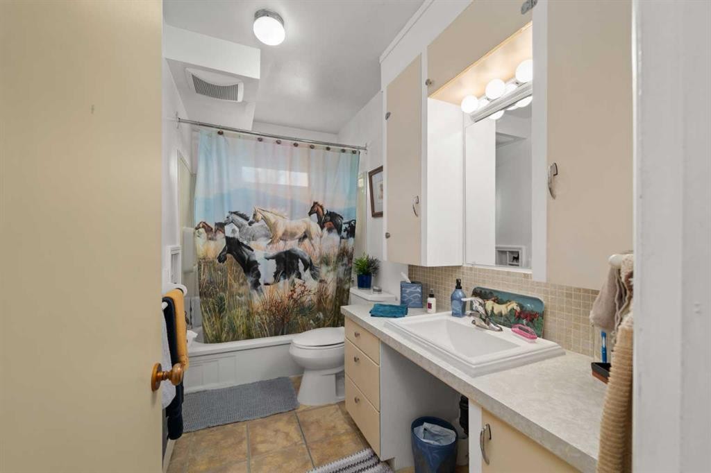 830230 Highway 1X, Rural Bighorn No. 8, M.D. Of, AB - Indoor Photo Showing Bathroom